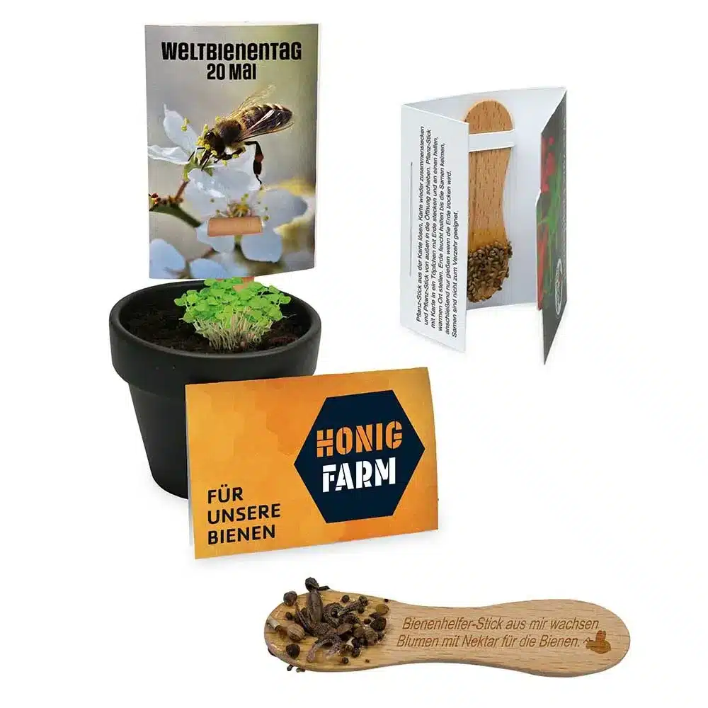 Bienenhelfer-Stick mit Samen – Nachhaltiger Pflanzen-Giveaway