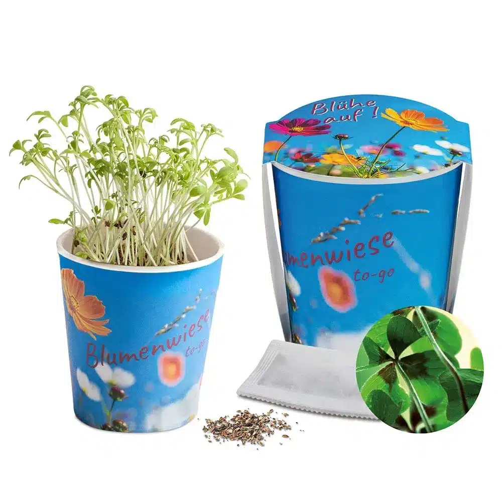 Blumenwiese To‑Go – Nachhaltige Wildblumen‑Saat