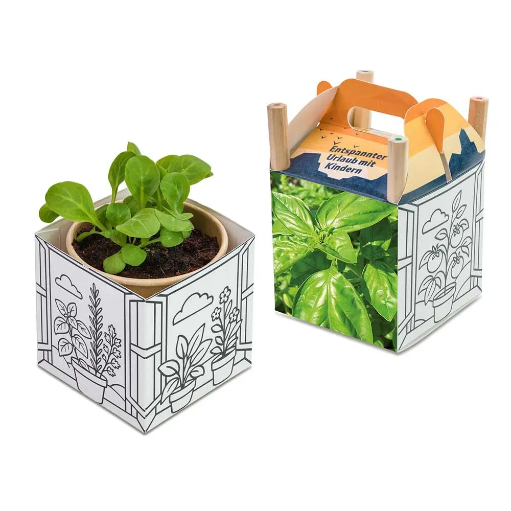 Color & Grow House – Kreative Pflanzbox mit Samen