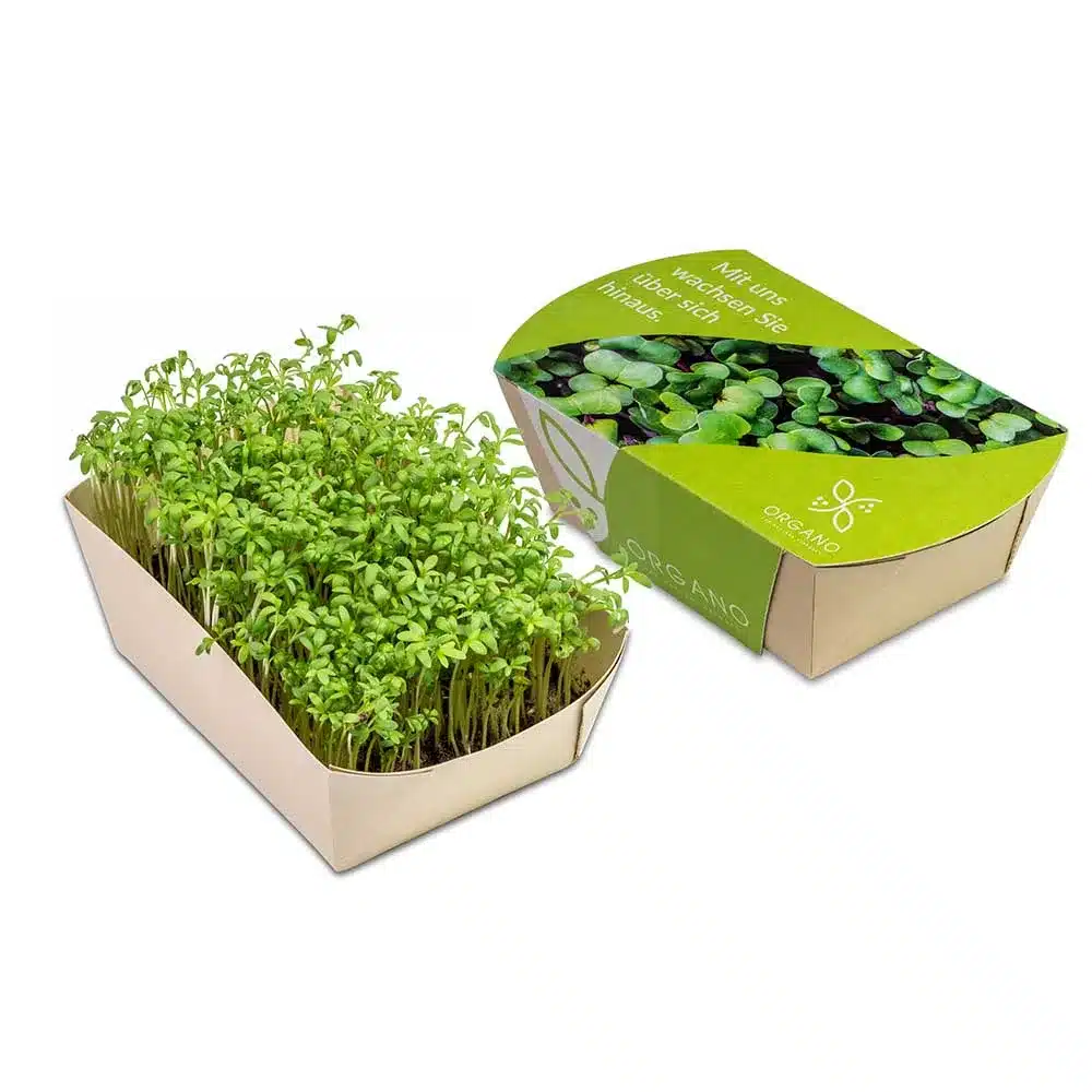 Microgreens‑Gärtchen – Nachhaltiges Microgreens‑Anzuchtset