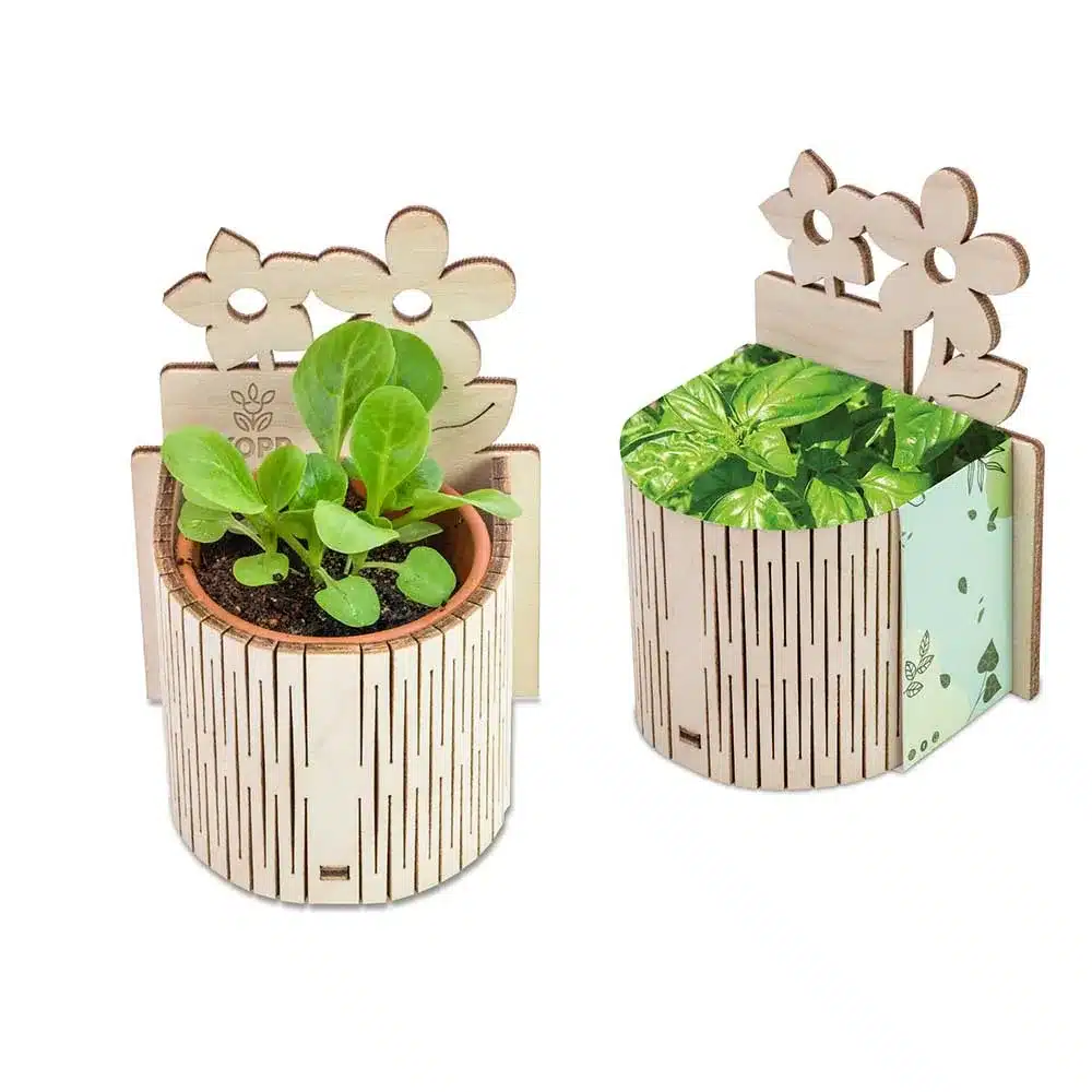 My Tiny Garden Blossoms – Mini Sustainable Gardening Kit