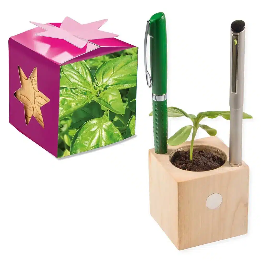 Pflanz-Holz Büro Star-Box mit Samen – Nachhaltiger Schreibtisch-Werbeartikel