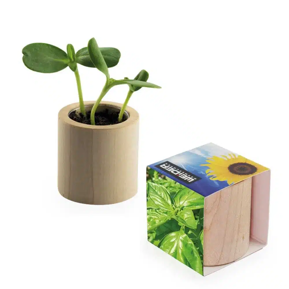 Pflanz‑Holz Rund mit Samen – Nachhaltiger Mini‑Pflanztopf