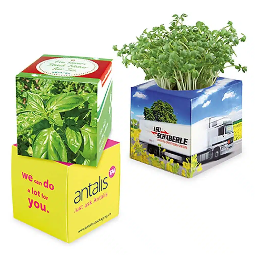 Pflanz-Würfel 2.0 mit Samen – Nachhaltiger Werbe-Seed-Cube