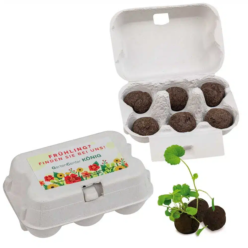 Sixpack – Flower-Balls Midi mit Samen – Nachhaltiger Werbeartikel für Natur & Bienen
